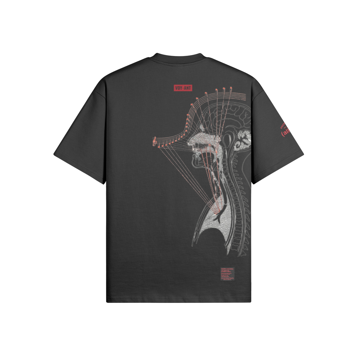 0-YCQ-Back Side