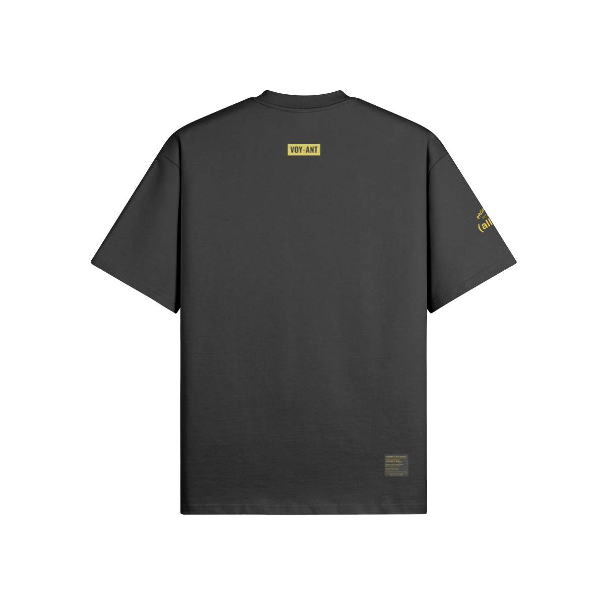 0-YCQ-Back Side